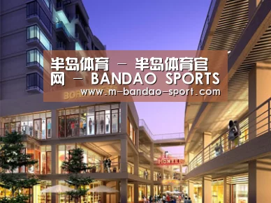 案例展示一(图1)