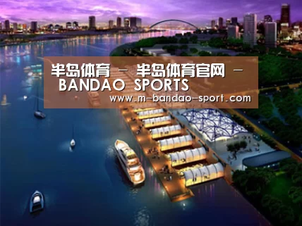案例展示八(图1)
