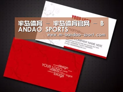 项目名称八