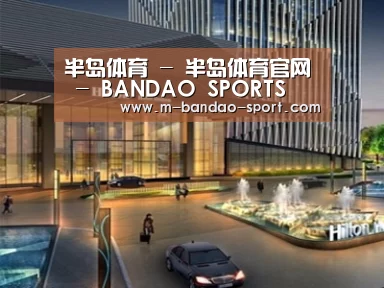案例展示二